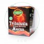 Трибулусная паста Tribuluslu Macun от Lokman Ada, 230 гр Lokman Ada Восточные товары ForBio ECO